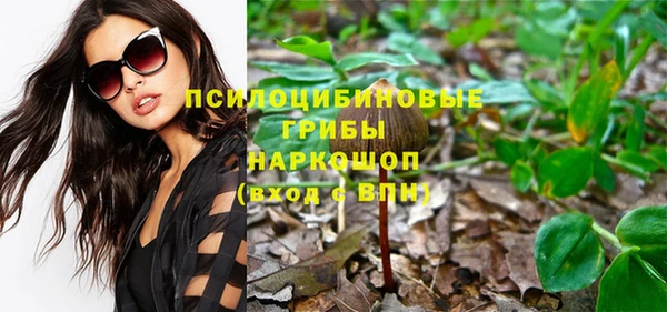 гидропоника Вязьма