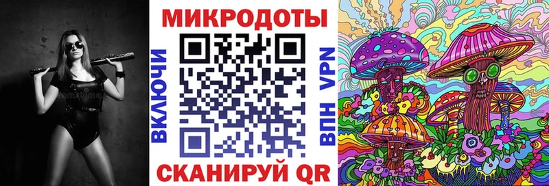 Псилоцибиновые грибы Psilocybine cubensis  Черкесск 